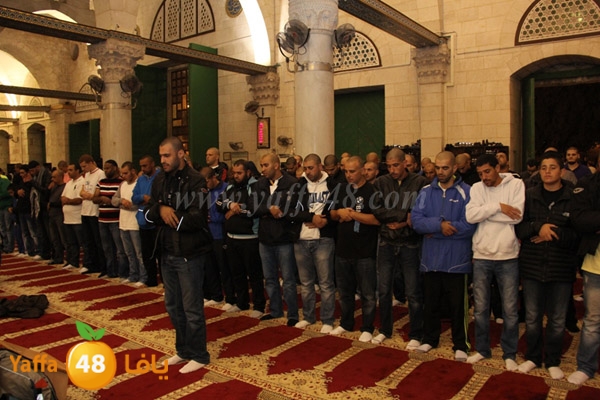 bikers yaffaj832 (48).JPG